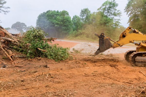 Ground Clearing in New Albany