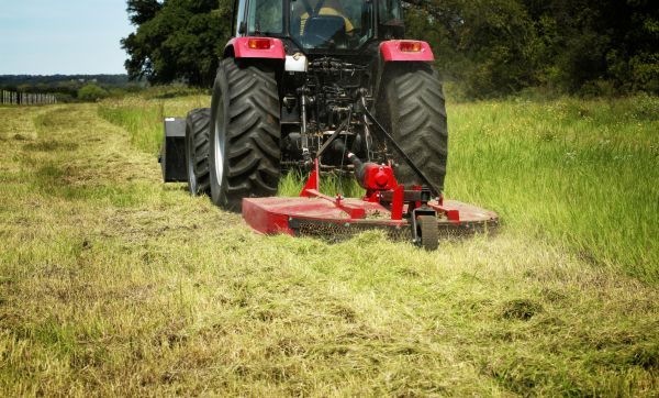 Brush Clearing Service in New Albany
