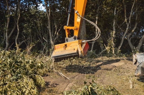 Brush Removal Service in New Albany