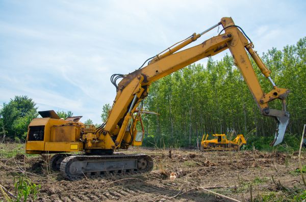 Cost of Farm Clearing in New Albany