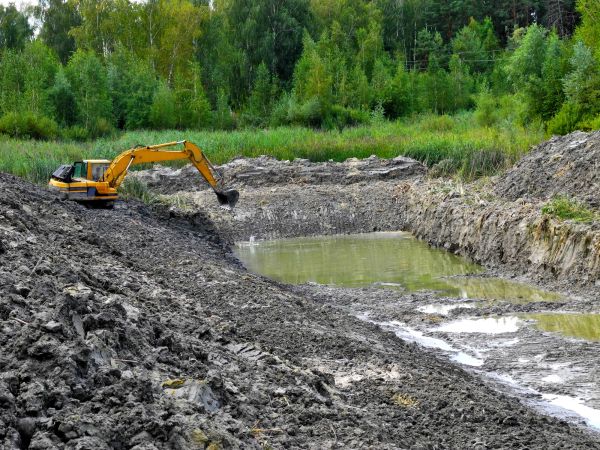Cost of Lake Lot Clearing in New Albany