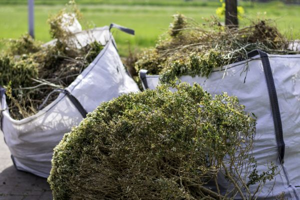 Bushes Clearing in New Albany