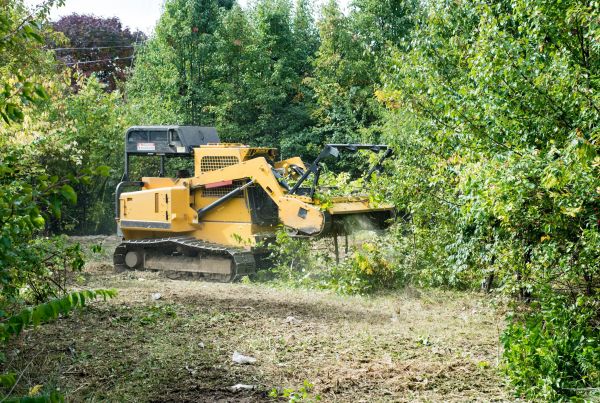 Cost of Pathway Clearing in New Albany
