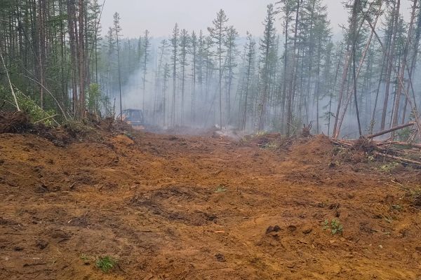 Cost of Hill Clearing in New Albany