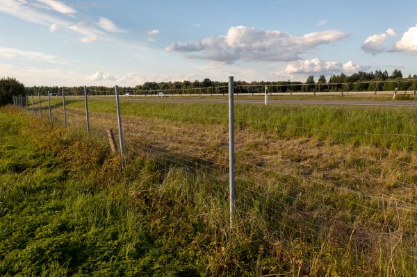Cost of Property Line Clearing in New Albany