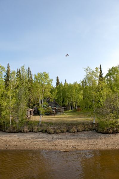 Cost of Waterfront Land Clearing in New Albany