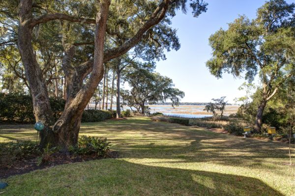 Cost of Lakefront Property Clearing in New Albany