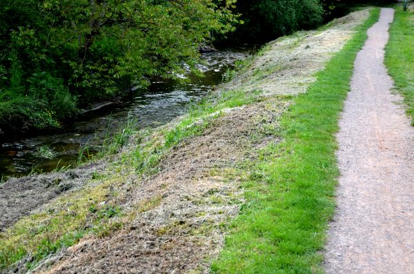 Cost of Trail Cutting in New Albany